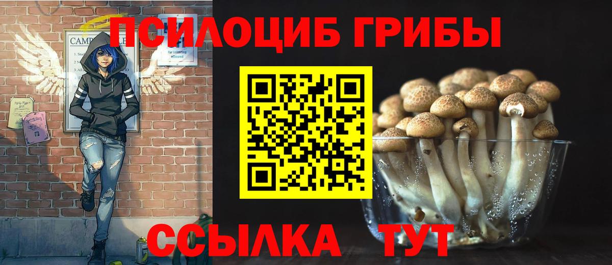 Реутов  Псилоцибиновые грибы GOLDEN TEACHER  купить наркоту  Вход с VPN 