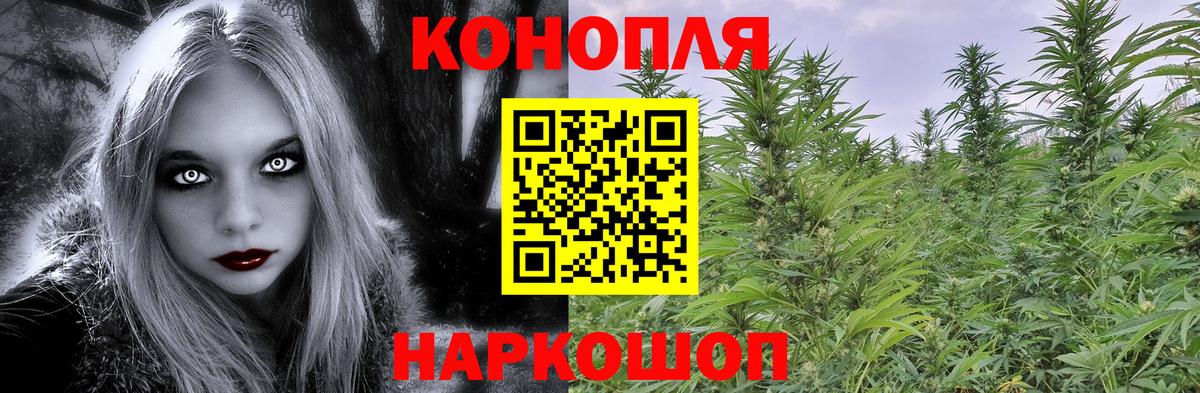 Бошки Шишки Bruce Banner  Марихуана планчик  МАРИХУАНА план  Вход с VPN  Реутов 